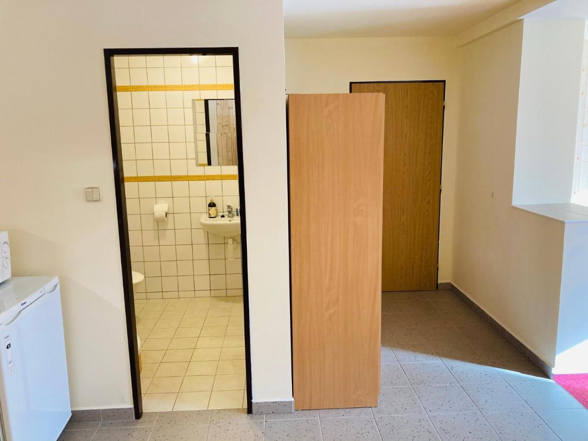 Studia Pod Lysou Lejlighed Rokytnice nad Jizerou Eksteriør billede
